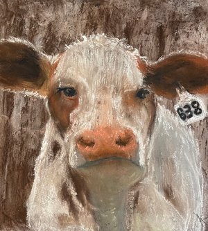 Ann Kynion — portfolio