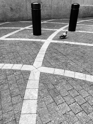 Tic-tac-toe  by Tina Link