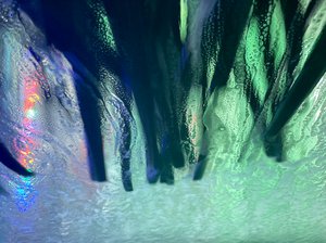 Squeaky Clean  by Tina Link (2024)