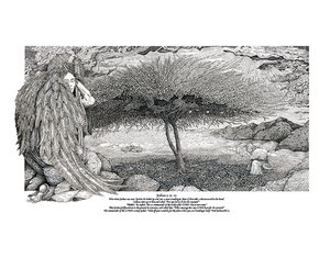 Roger Duffy — portfolio