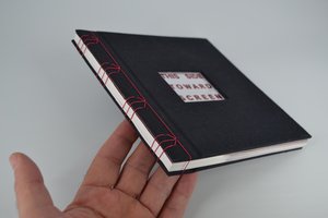 THIS SIDE TOWARD SCREEN (book detail) by Ben DiNino (2024)