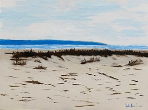 I Can See Jekyll Island by Gary Fournier (2026)