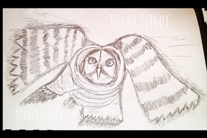Night Flight by Nicole Kupper (2015)