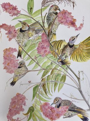 IMG_7146 by Donna Ostrye