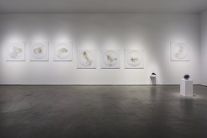 Suspensions (Installation Documentation) by Chris Myhr