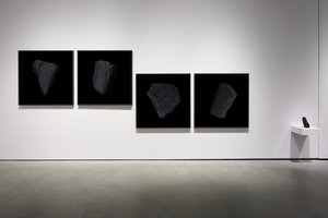 Ab-Solutes: Lake Erie (Installation Documentation) by Chris Myhr