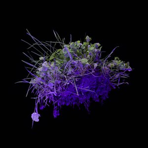 Unknown Origins (Interlopia Pristinus #1) by Chris Myhr (2024)