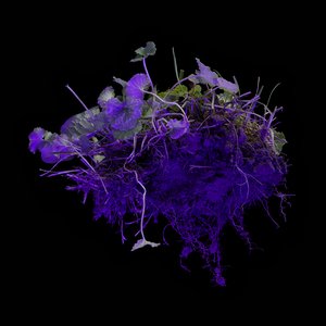 Unknown Origins (Interlopia Pristinus #3) by Chris Myhr (2024)