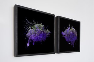 Unknown Origins (Installation Documentation) by Chris Myhr