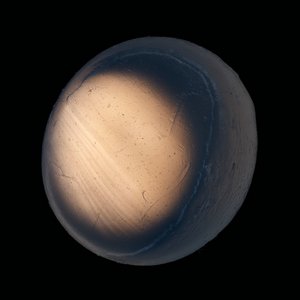 Ab-Solutes: Lake Ontario (Crescena 9) by Chris Myhr (2025)