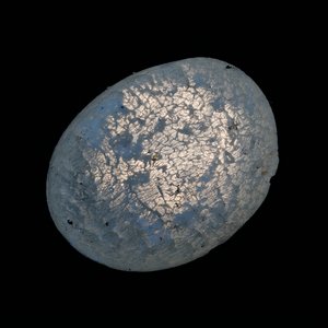Ab-Solutes: Lake Ontario (Kumonosu 20) by Chris Myhr (2025)
