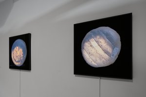 Ab-Solutes: Lake Ontario (Installation Documentation) by Chris Myhr