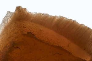 Alluvium: Strata (Untitled #4) by Chris Myhr (2026)