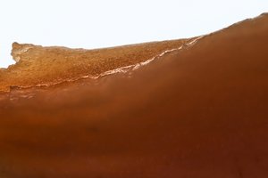 Alluvium: Strata (Untitled #5) by Chris Myhr (2026)