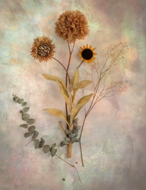 After the Bloom by Kathy Triolo (2026)