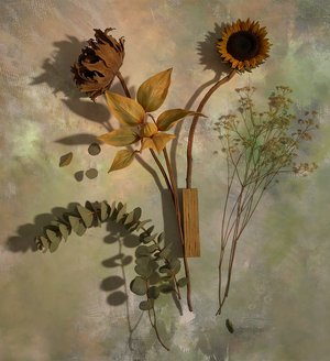 When Summer Lingers by Kathy Triolo (2026)