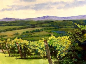 Godown.Winery 03 by Justine Godown