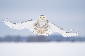 I See You by Kathleen Sewell