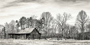 Kentucky Barn  by Gail Howarth (2024)