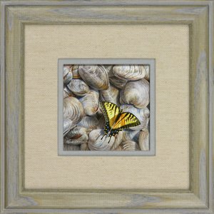 Salt Seeker by Linda Rossin (2024)