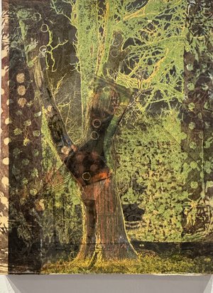 Tree magic by Phyllis Ruffer (2026)