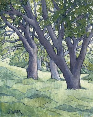 The Quiet Forest by John Finger