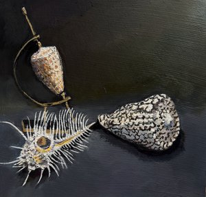 Three specimens by Werner Liepolt (2025)