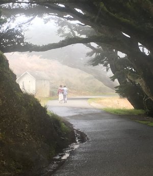 Love in the Fog, Point Reyes by Robert Repp (2025)
