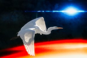 No Limit by Kevin Lee