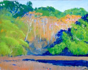 Alders Glow by Larry Bryson (2011)