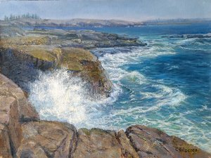 Cliffside Fury by Cindy Edzenga