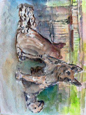 Watching Over the Fox River by Carol Sturz (2026)