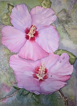 Rose of Sharon by Tammy Gragg (2026)