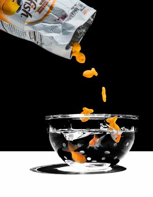 Rehydrate by steven shpall (2017)