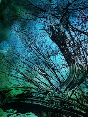 Turning by Margit Zsedely