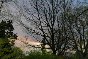 Sunset by Margit Zsedely