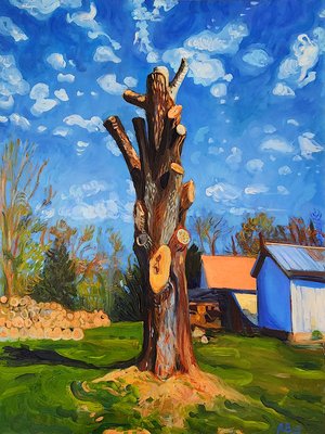 Lopped Ash by Nina Belfor (2024)