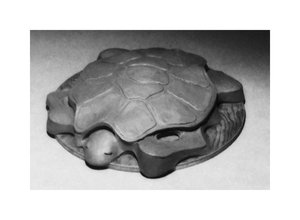 Stepping Stone Series - Tortoise by Kathleen Zimmerman