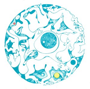 Zoo Series - Tundra by Kathleen Zimmerman