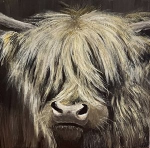 Highland Cow by Christine Sniadach