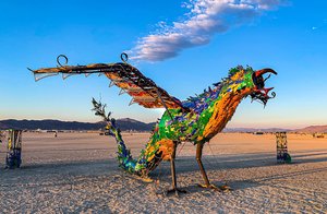 Phoenix Rising by Lisa Nigro