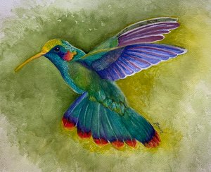 Hummingbird by jean brady (2025)