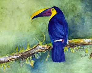 TUCAN by jean brady (2025)