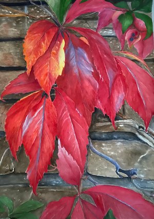 Fioli Garden in The Fall by jean brady (2022)