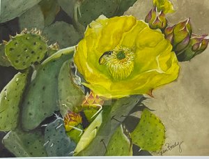 Desert Flower by jean brady (2022)
