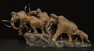 Wild and Woolly by Gary Staab (2026)