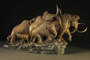 Wild and Woolly by Gary Staab (2026)