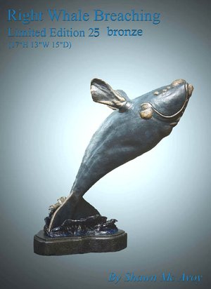 Right Whale Breaching by Shawn McAvoy (2004)