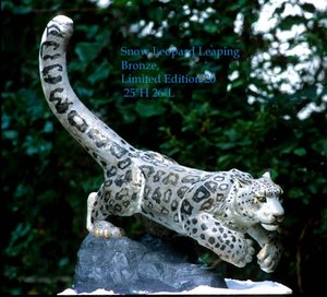 Snow Leopard Leaping by Shawn McAvoy (2000)