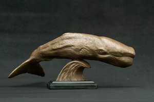 Sperm Whale by Shawn McAvoy (2003)